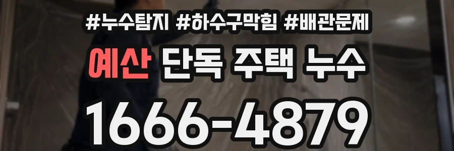 예산 단독 주택 누수