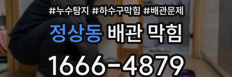 정상동 배관 막힘