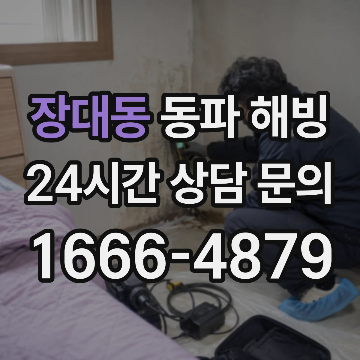 장대동 동파 해빙