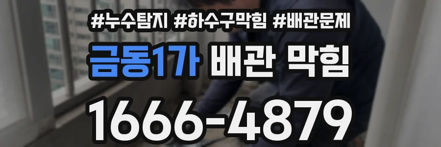 금동1가 배관 막힘