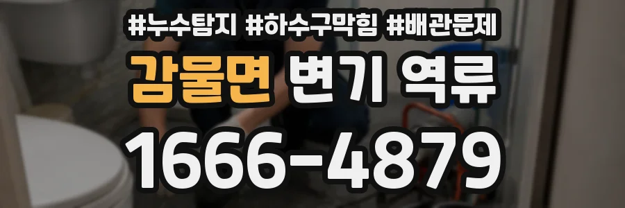 감물면 변기 역류