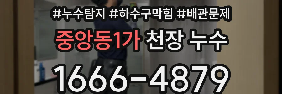 중앙동1가 천장 누수