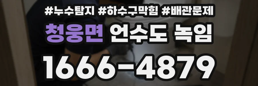 청웅면 언수도 녹임