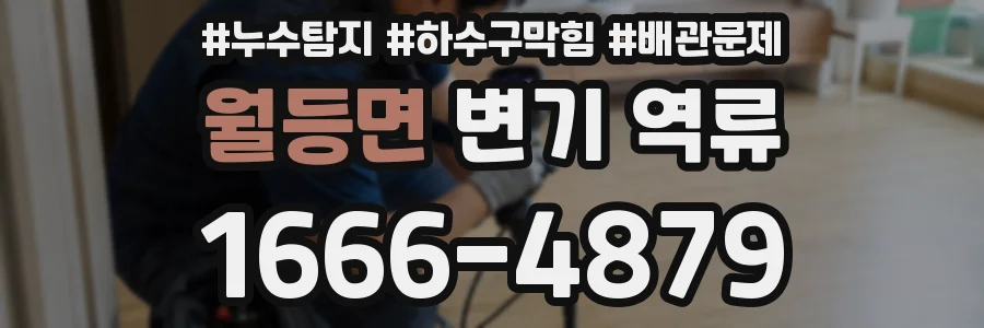 월등면 변기 역류