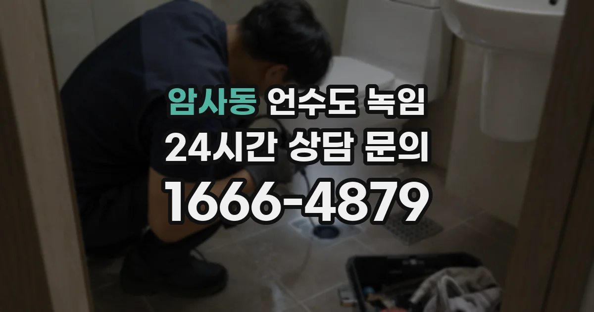암사동 언수도 녹임