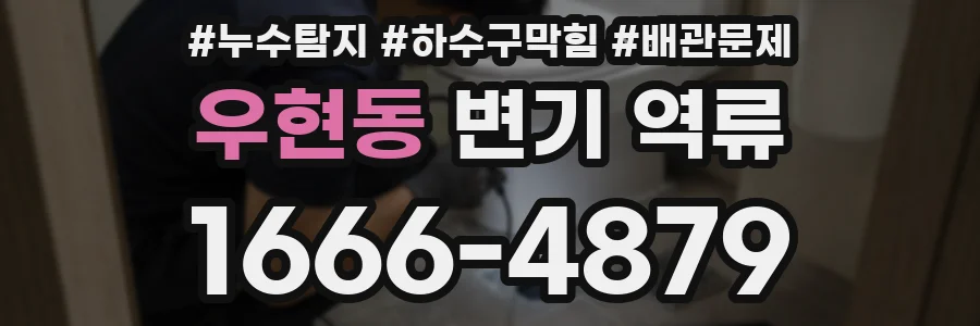 우현동 변기 역류