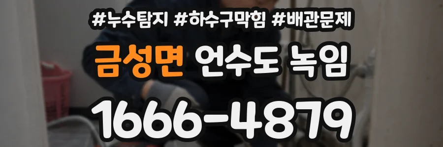 금성면 언수도 녹임