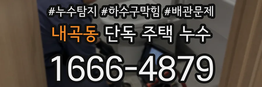 내곡동 단독 주택 누수