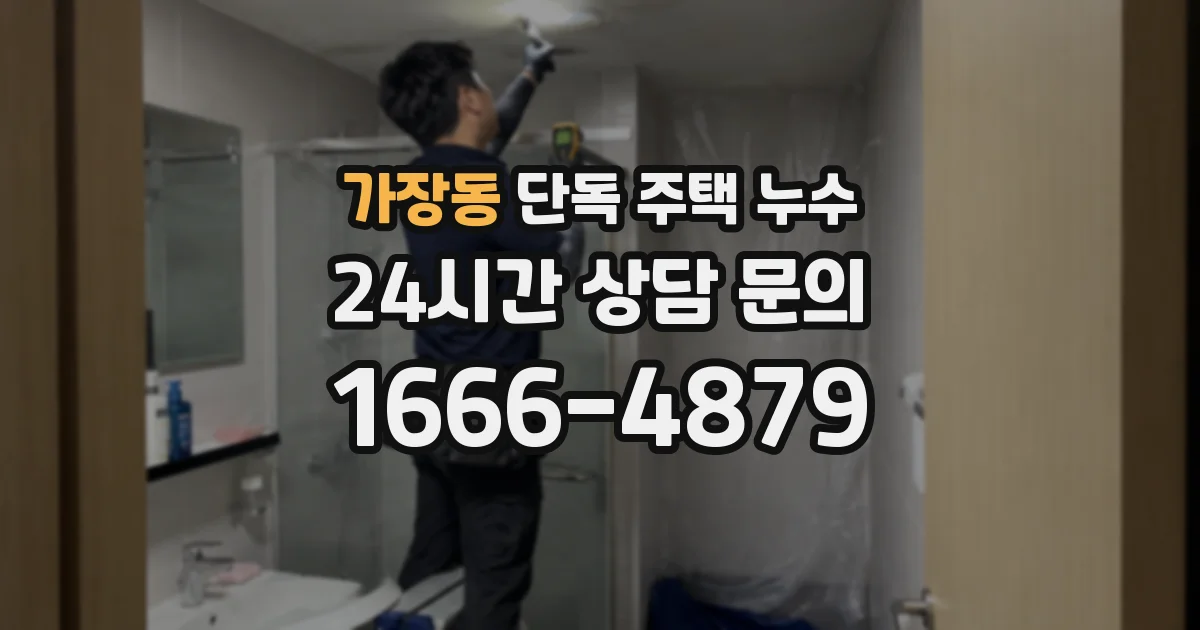 가장동 단독 주택 누수
