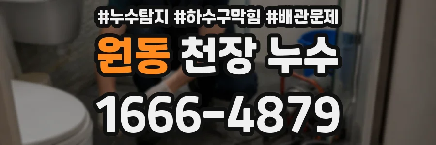 원동 천장 누수