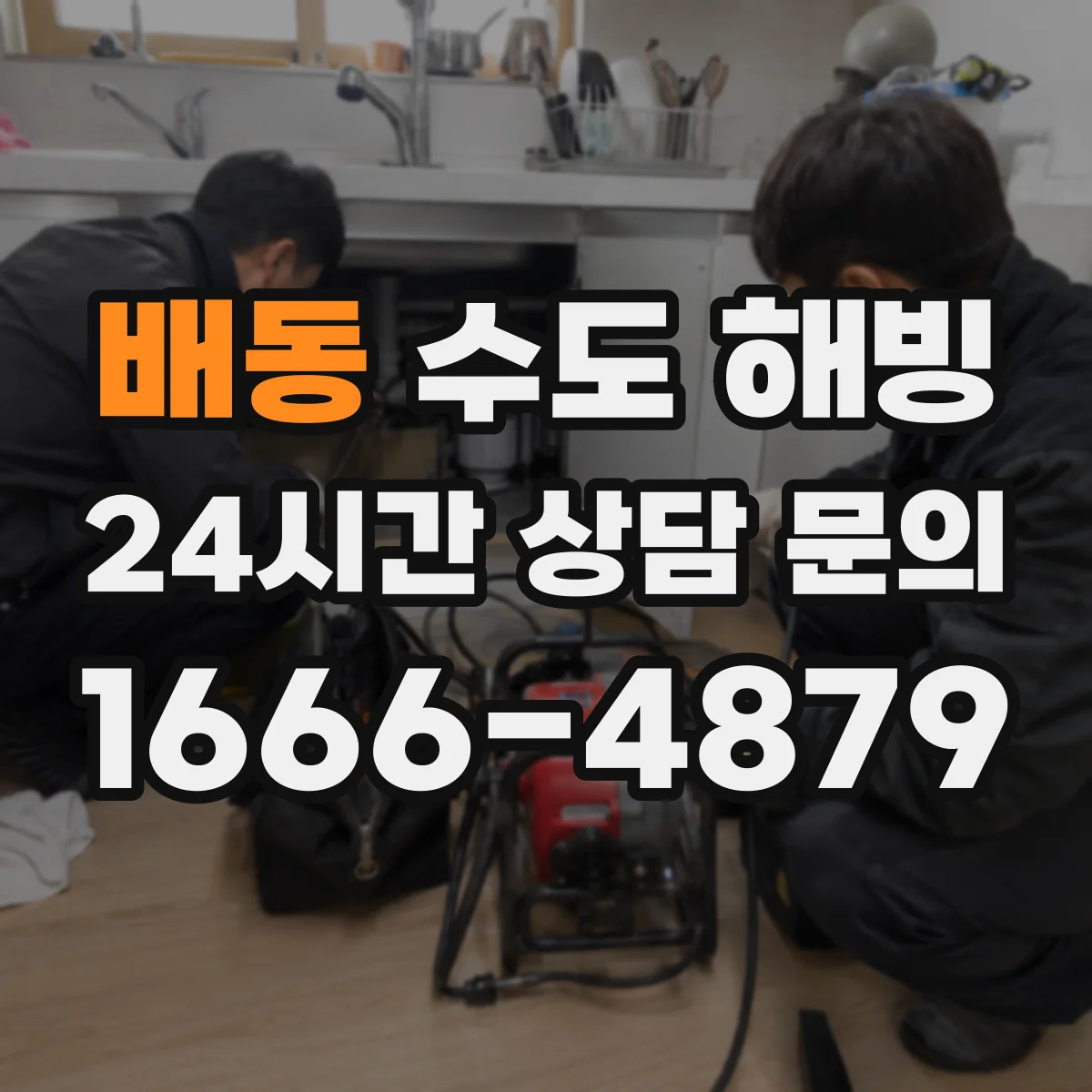 배동 수도 해빙