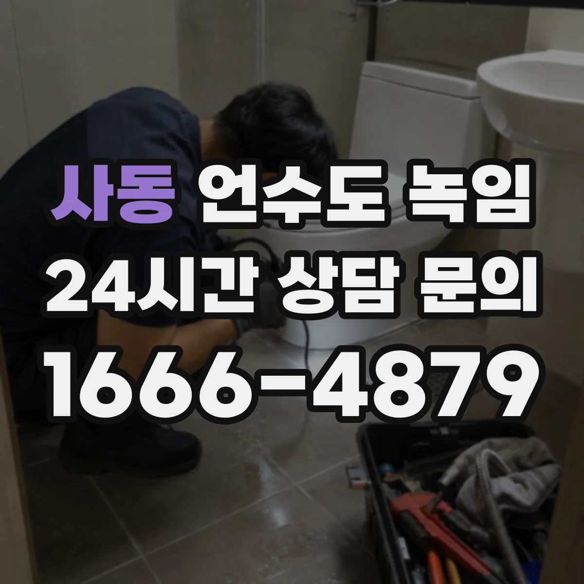 사동 언수도 녹임