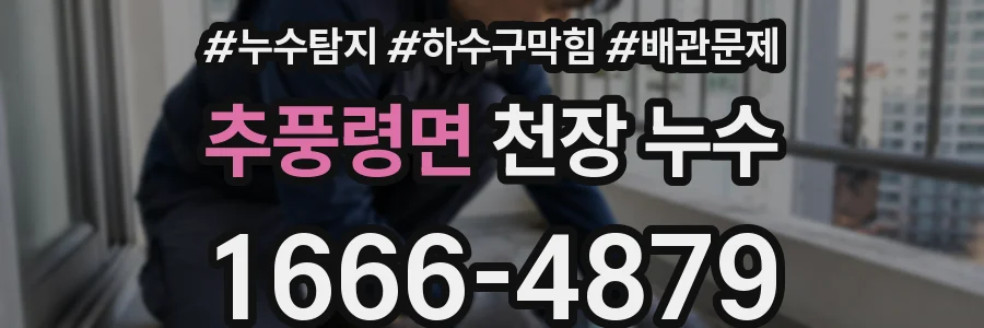 추풍령면 천장 누수