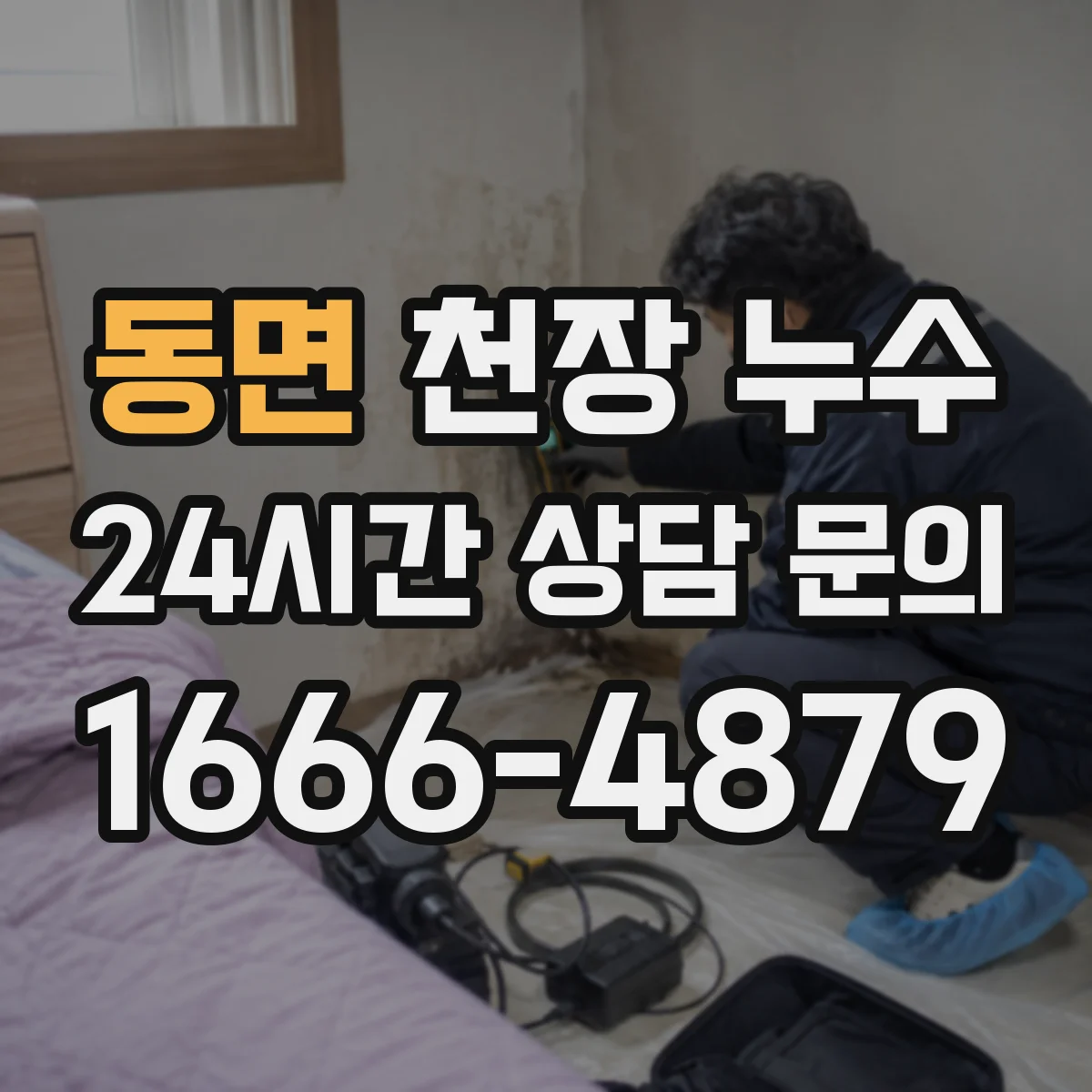 동면 천장 누수