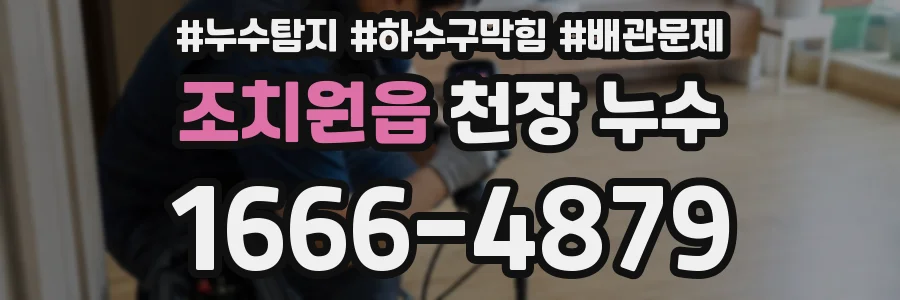 조치원읍 천장 누수