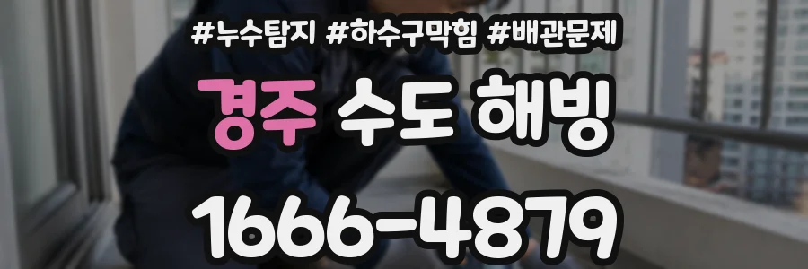 경주 수도 해빙