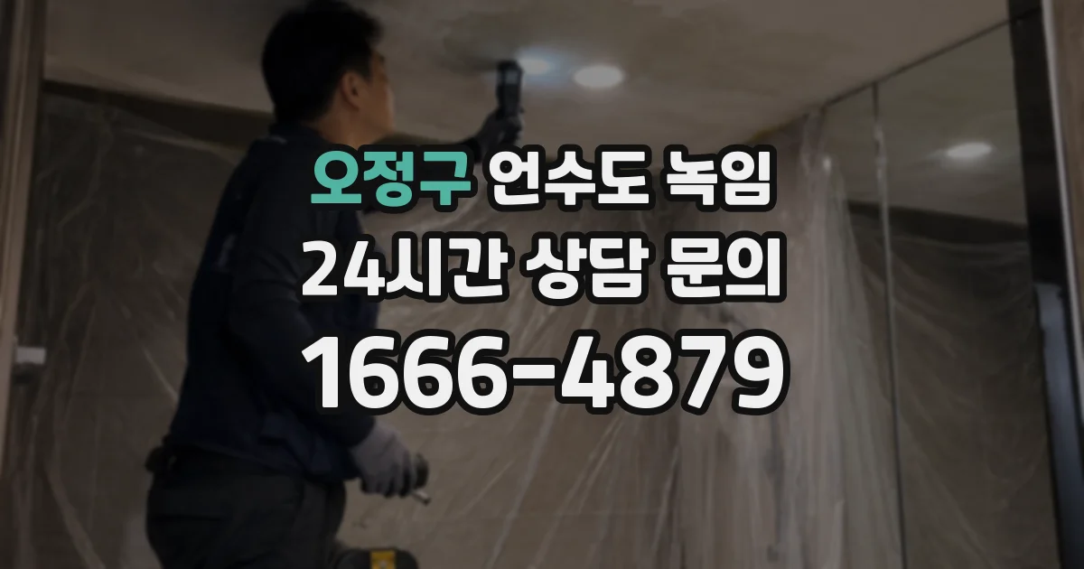 오정구 언수도 녹임