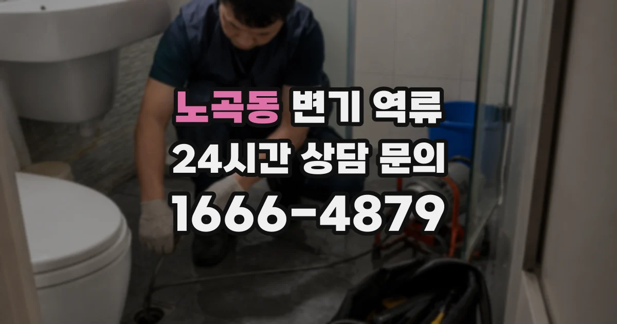 노곡동 변기 역류