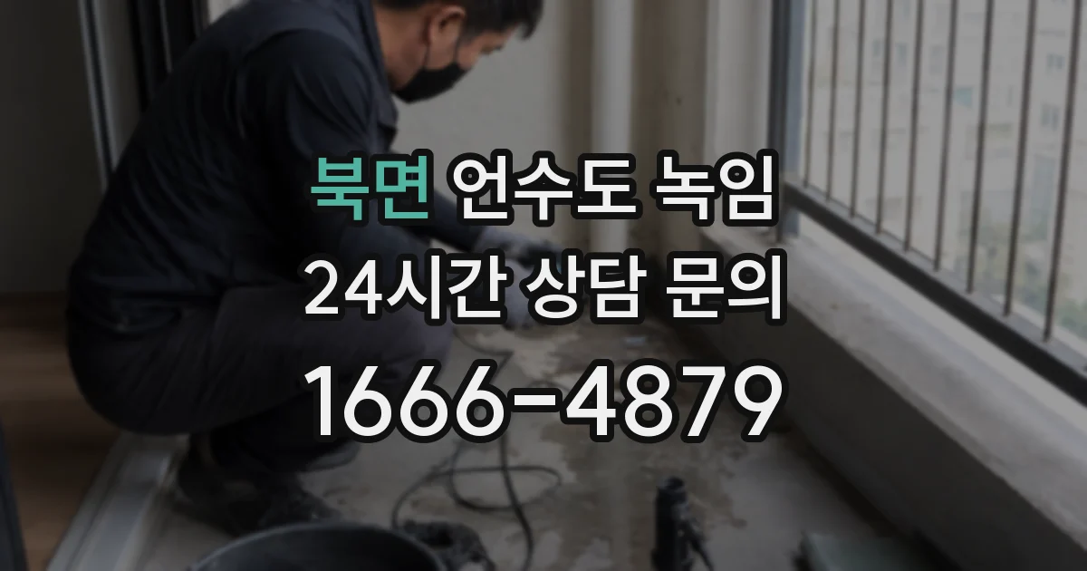 북면 언수도 녹임