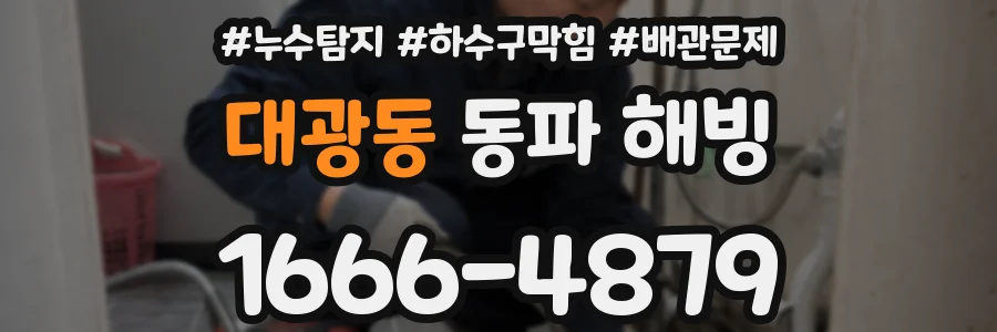 대광동 동파 해빙
