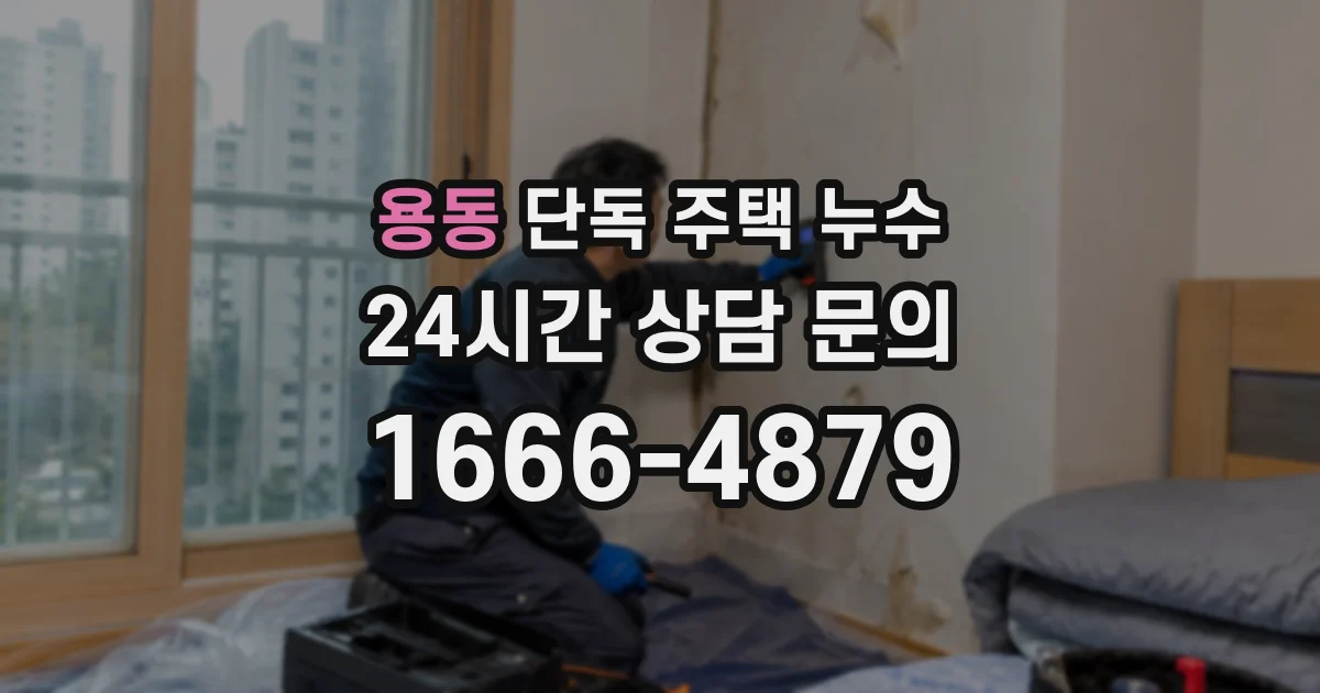 용동 단독 주택 누수