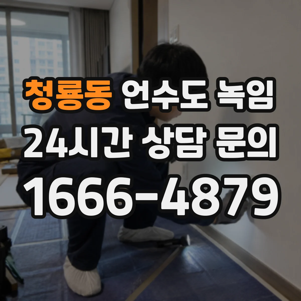 청룡동 언수도 녹임