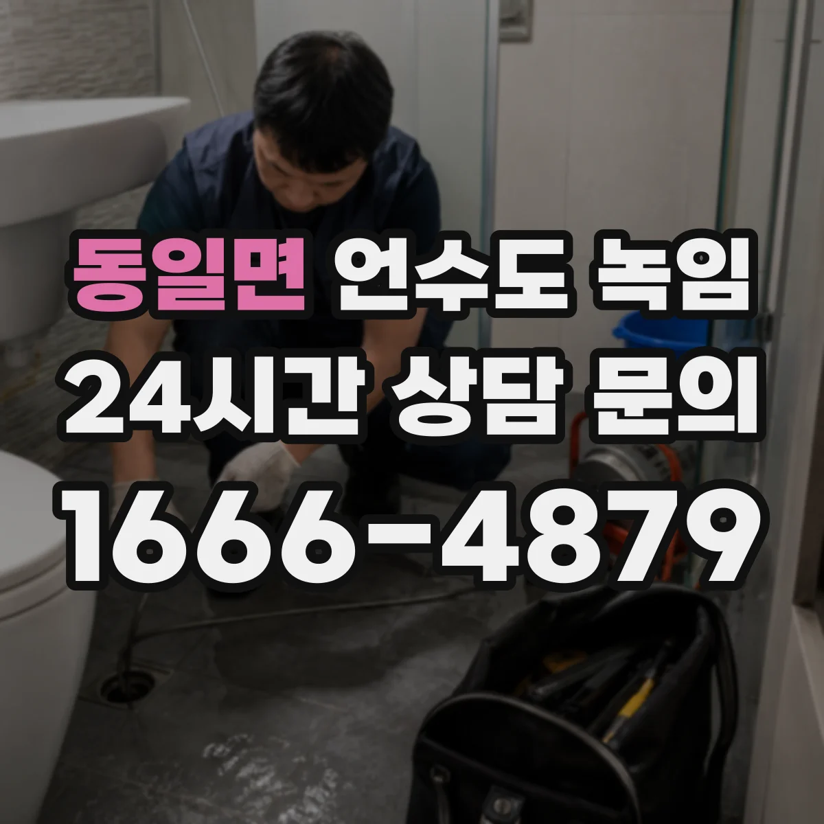 동일면 언수도 녹임