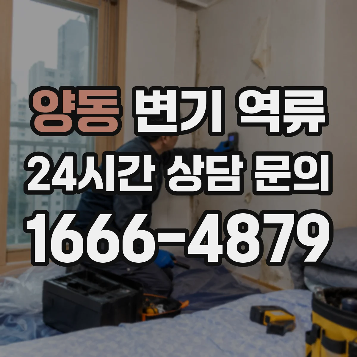 양동 변기 역류