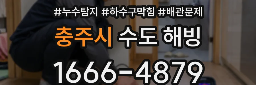 충주시 수도 해빙