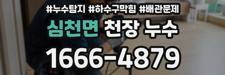 심천면 천장 누수