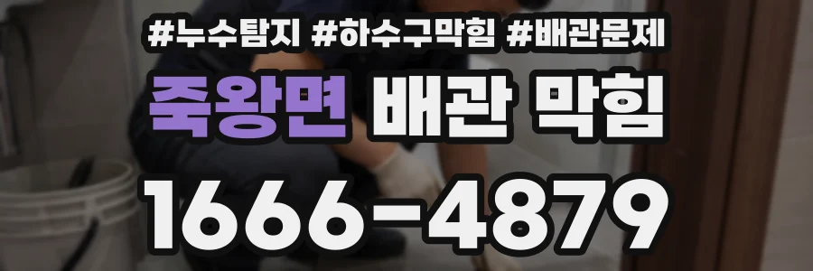 죽왕면 배관 막힘