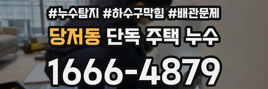 당저동 단독 주택 누수
