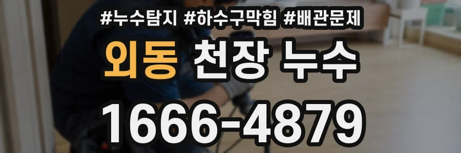 외동 천장 누수