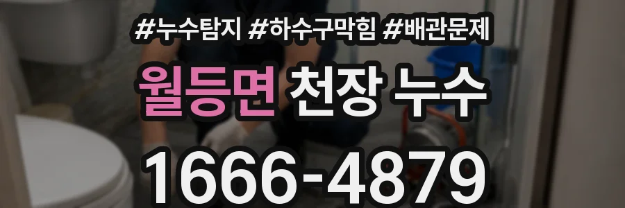 월등면 천장 누수