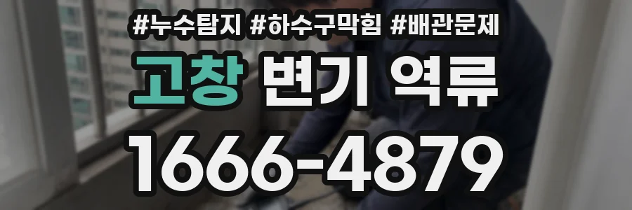 고창 변기 역류