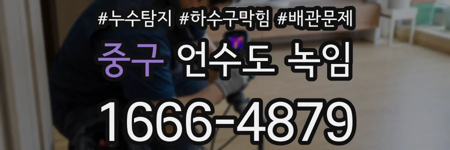 중구 언수도 녹임