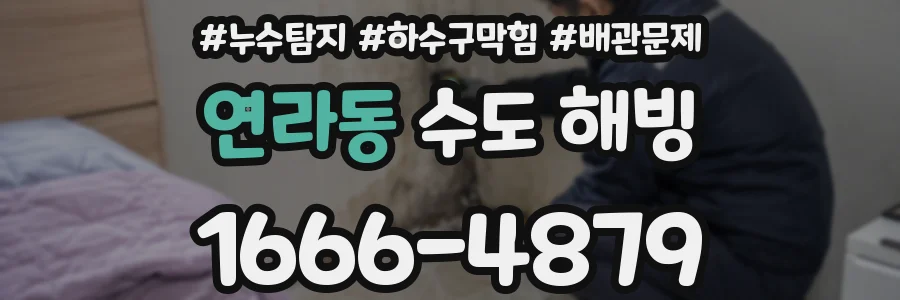 연라동 수도 해빙