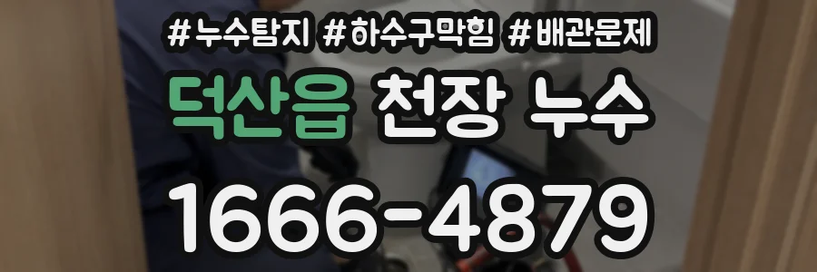 덕산읍 천장 누수