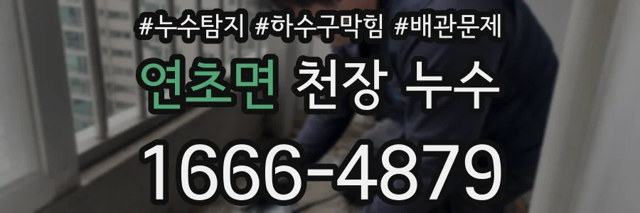 연초면 천장 누수