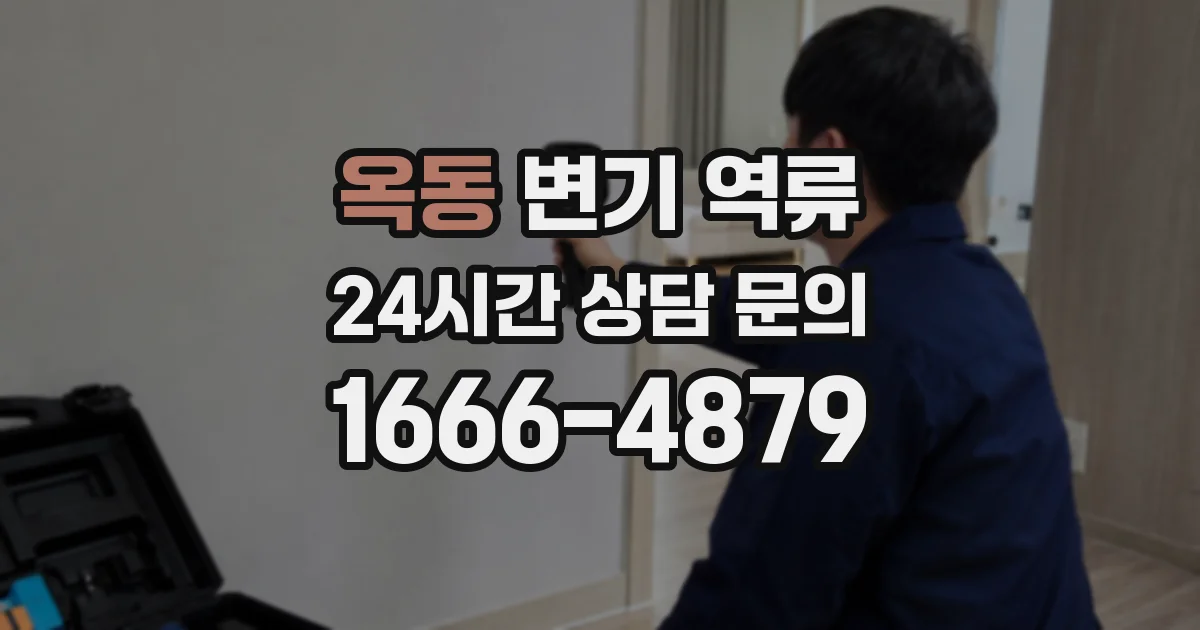 옥동 변기 역류