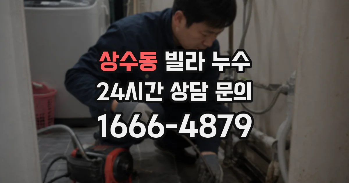 상수동 빌라 누수