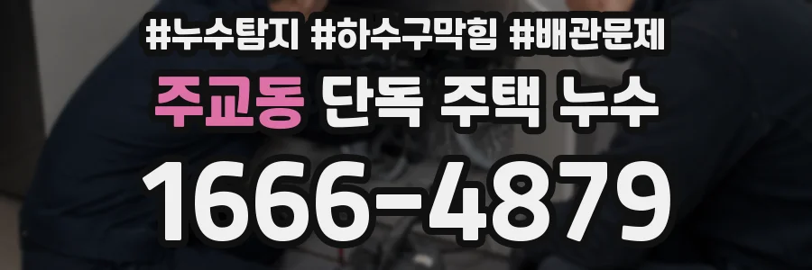 주교동 단독 주택 누수