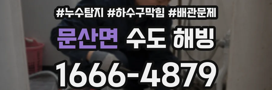 문산면 수도 해빙