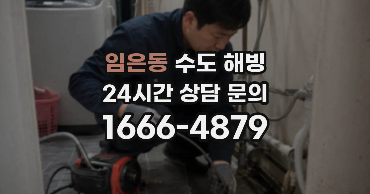 임은동 수도 해빙