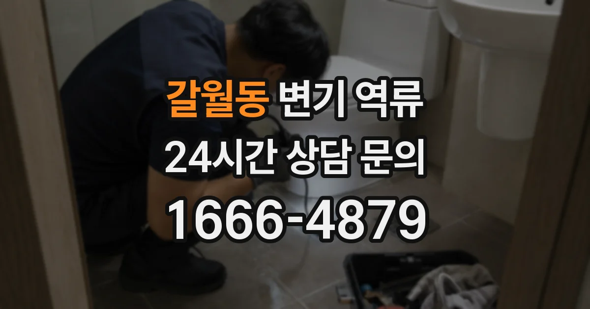 갈월동 변기 역류