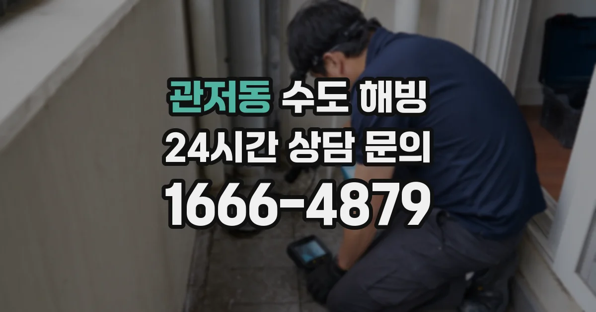관저동 수도 해빙