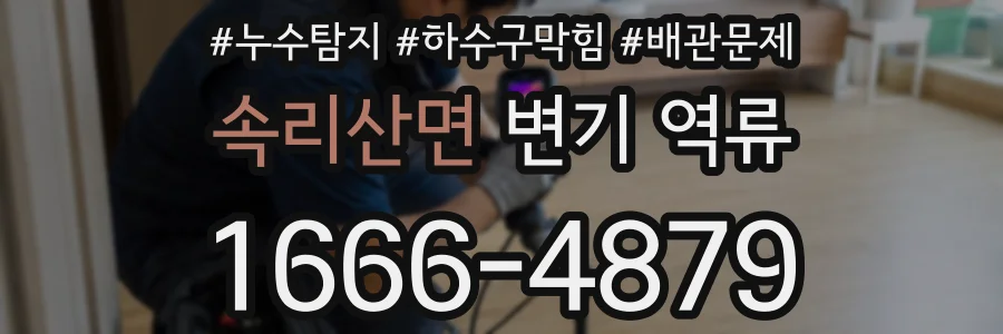 속리산면 변기 역류