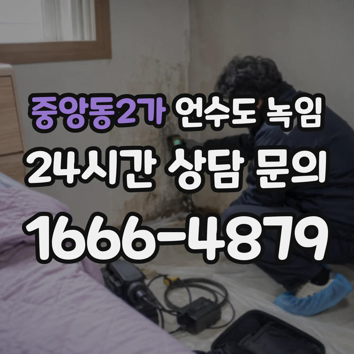 중앙동2가 언수도 녹임