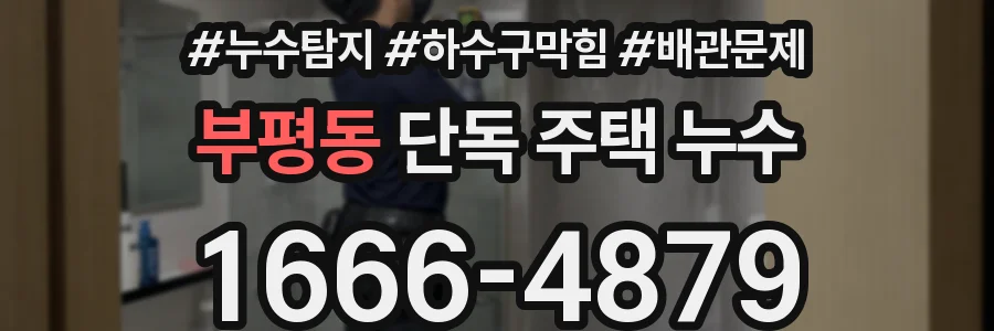부평동 단독 주택 누수