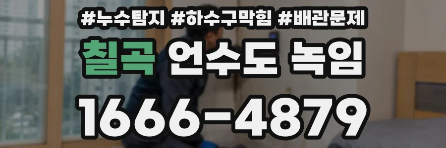 칠곡 언수도 녹임